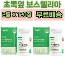 뉴일리 초록입 보스웰리아 60정 식 약 처 인증 영양제 인도산 보스웰릭산 AKBA + KBA 뉴질랜드산 초록입홍합 치커리 우슬 간편 섭취, 2개