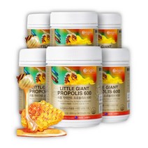 유해산소억제 뉴질랜드 아연 프로폴리스 연질캡슐 1년치 면역력 높이는영양제 입냄새 제거 항산화 음식 잇몸영양제 코스트코 알약 청소년 유아 유아용 프리미엄 유아청소년 성인용, 6박스