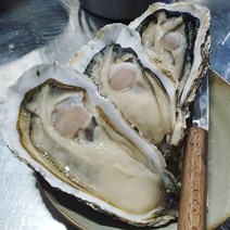 통영 석화굴 브러쉬세척 당일조업출하, 1박스, 삼배체굴2kg대