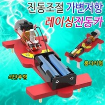 GW753D4B 쇠단추형 레이싱진동카 과학교구 초등학교교구 작동완구만들기 만들기교구 5인용 가변저항 만들기