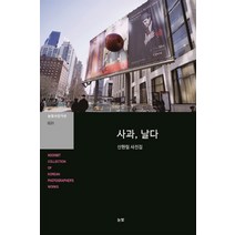 사과 날다:신현림 사진집, 눈빛, 신현림 저