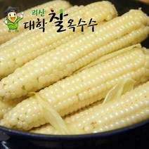 [가을생물 옥수수-예약중] 2023년 햇거 특A품 괴산대학찰옥수수 냉동/햇생물 2가지, 10개입, 햇대학찰옥수수 생물/특품