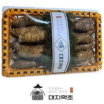 [대지약초] 명품 정선 햇더덕 깐더덕 생더덕 선물용 강원도 특산물, 선물용 특품 1.5kg