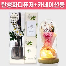 탄생화 디퓨저 선물세트 3월 탄생화 데이지+카네이션 무드등 어버이날 부모님 선생님 엄마 장모님 생신 프리저브드 플라워 생일 집들이 선물 실내 디퓨저 실내방향제 디퓨저, 레몬그라스, 핑크, 500ml