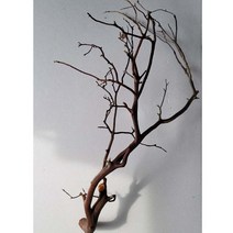 [나무가지오브제] 풍수백화점 복숭아나무 칼 도목검 풍수검, 중칼58cm