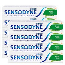 후레쉬 치약 100g x9개 명품 프리미엄 잇몸 구내염 좋은 고급 입냄새 치석제거, 상품 01. 후레쉬 치약 100g x9개