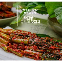 종말이 곽진영 여수 돌산 갓김치 3kg