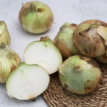 국내산 무안 양파 3-10kg내외, 양파 (중~소) 5kg내외, 1box