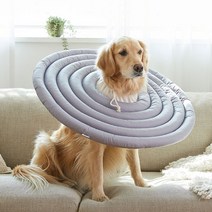 두유레디 반려동물 상처보호 넥카라 방수 순면, 그레이, 시즌2