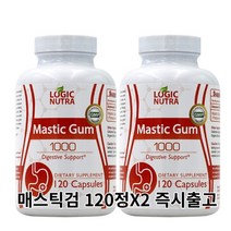 매스틱검 매스틱 masticgum 매스틱정 120정X2병 매스틱껌, 2개