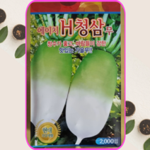 식물세계 김장무 씨앗 에이치청삼무 2000립 김장채소, 1개