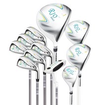 PGM 초보 골린이 골프클럽 셋트 여성 입문용 골프채 세트, 11종, 스틸
