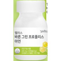 아연 프로폴리스 락토바실러스 불가리쿠스 아연섭취