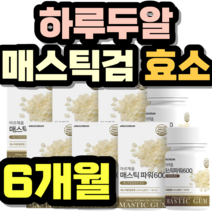 하루두알 매스틱검 효소 알로에베라 유산균 루테리 선물 추천 가격 홈쇼핑 Mastic Gum 설날 명절 추석 회식 직장인 중년 남성 여성 정품