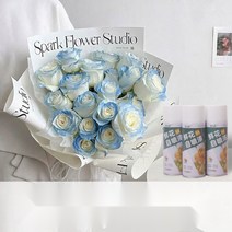 생화 스프레이 꽃 특수 염료 착색제 플라워 컬러 스프레이, 스릴링 퍼플 450ml 독창적인 컬러와 친환경