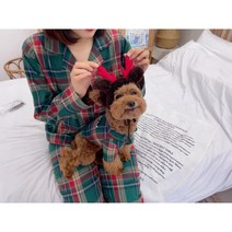 (찰리셋) 크리스 체크 강아지커플룩 강아지크리스마스 견주 잠옷 파자마 겨울옷, S, 크리스체크강아지잠옷+엄마견주SET