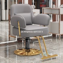 연예인 미용실 의자 고급 스페셜 헤어샵 살롱 바버샵 체어 리프트 회전, 표준, 초콜릿색
