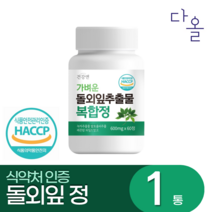 돌외잎 추출물 식약처인정 HACCP 알약/캡슐, 60정, 1개, 60정