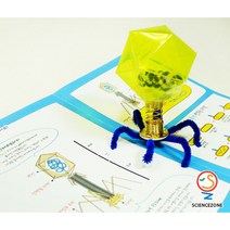 [케이에스스토어] 박테리오파지[5인용] 방과후수업 과학키트