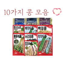 10가지 콩 씨앗 모음집 [23년포장] 강낭콩 작두콩 서리태콩 동부콩 콩종자, 황동부콩(덩굴성) 50g