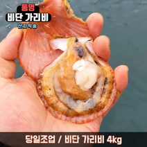당일조업 통영 비단 가리비 생물 구이 찜, 비단가리비 4kg, 1개