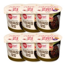 햇반 직화짜장덮밥280G x6