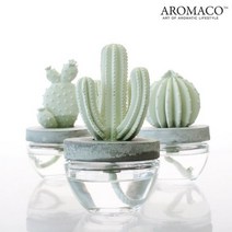아로마코 선인장디퓨저 100ml, 베르가못라임