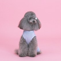 자체제작 강아지옷 랄라 스윗 올인원, 색상:블루|사이즈:L