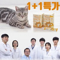 고양이 유산균 영양제 설사 변비 구토 면역력 장건강 프로바이오틱스 프리바이오틱스 파우더 캣바이오 1 1