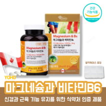 산화 고함량 마그네슘 비타민b6 신경 근육 식약처 식약청 인증 인정 마그비 보충제 영양제 알약 케이스 증정