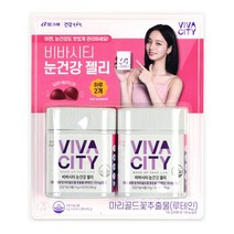 비바시티 눈건강 젤리 4g x 62개 x 2입