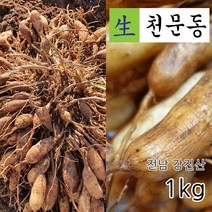 국산 전남 강진 남해안 5년근 생천문동 1kg 당일채취 생산자 직판