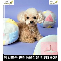 노즈워크 강아지집에혼자 강아지운동 3개월강아지장난감 강아지놀이, 1개