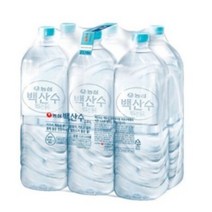 백산수 무라벨, 2L, 10개