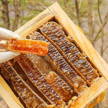 국내산 천연 꿀 벌집꿀 밀랍꿀 선물세트, [실속] 벌집꿀 500g