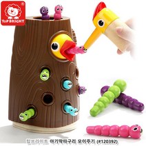 유아 집중력 감각발달 자석 새먹이주기 아기교구 유치원장난감