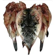 말린 복어 반건조 복어 500g 1kg 자주복 참복 건조복어 건복 복어탕 복어조림 복어매운탕, 반건조 참복 500g(대복)(1-2마리내외)