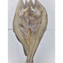 23년 동해안 명절 대 특대 대구포 염대구 대구 염대구포 대구포찜 대구포전 대구포구이, 1개, 중 500g내외