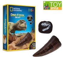 밤나무 내셔널지오그래픽 화석발굴 공룡이빨, 단일옵션