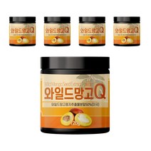 프리미엄 와일드망고 종자 씨앗 추출물 분말 가루 엘라그산 Q, 5개, 120g
