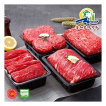[총체보리한우]1등급이상 정육4호 명품선물세트/국불장육/각500g, 단품
