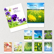 예닮 봄주보 10종 교회주보 기성 칼라 주보용지 주보도안 디자인주보 예쁜주보 팬시 예배순서지 청년부 헌금봉투 감사노트 주보제작 제작 추천, 3세트