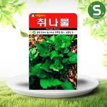 솔림텃밭몰 취나물씨앗 1000립 고산 취나물 산채 민속채소 나물, 상세페이지 참조