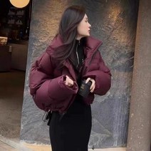 RM 역시즌 패딩 숏 여 겨울 차이나 슬림 캐주얼 학생 베이직 코트