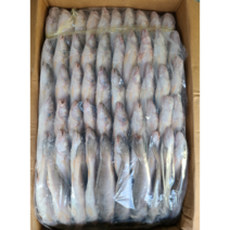 민어조기 13.5kg 120미 업소용 대용량, 1개