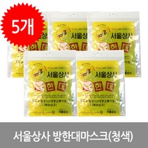 서울마스크 서울상사 방한대 마스크(청색)-5개, 5개