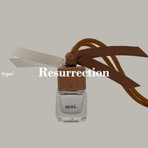 모이 차량용 디퓨저 술타나오브솝 타입 방향제, 20ml