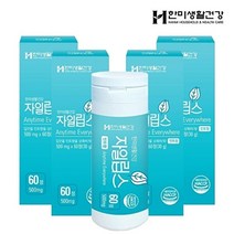 한미양행 한미생활건강 구취 숙취 입냄새 제거 입속가글 자일립스 500mg 60정 4박스