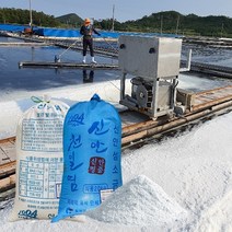 [국산] 신안 천일염 20kg 간수빠진 2023년산 이력추적제 김장소금 굵은소금, 간수빠진 신안 소금 (2023년산), 1개