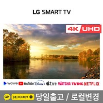 LG 43인치 4K 스마트 UHD TV 43UP7670 초고화질, 1. 수도권역 스탠드 +HDMI 2.0